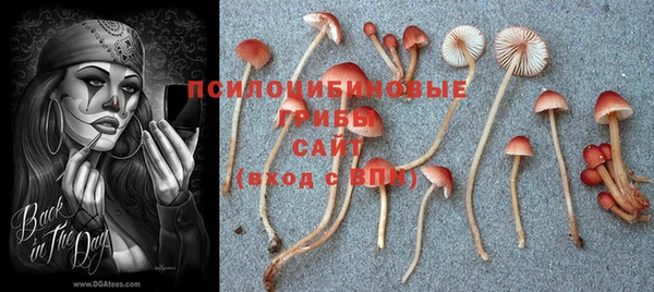 ALPHA PVP Снежногорск